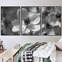 3 Piece Framed Canvas Wall Art Black and White Botanical Canvas Prints Home Artwork Decoration for Living Room,Bedroom - 16