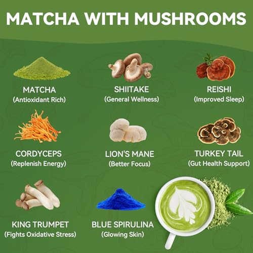 Polvo de Matcha con 6 Hongos Adaptógenos 30 porciones miniatura 4