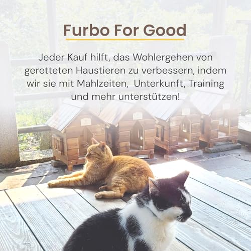 Furbo 360° Katzenkamera mit Heimsicherheits-Paket [Premium MIT ABO]: Intelligente Kamera mit App für Katze & Heim, Rotierende 360° Sicht, Farbnachtsicht, Tracking, Leckerliwurf, Miauen-Alarm UVM.
