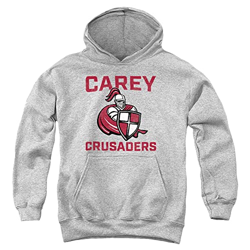 LOGOVISION William Carey University Official Crusaders Logo Youth Kids Boy/Girls Pull-Over Hoodie Sweatshirt