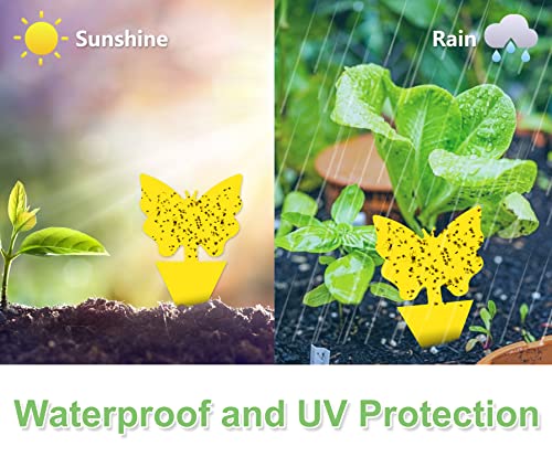 48 Pcs Sticky Traps, Fruit Fly Gnat Trap For Indoor And Outdoor, Insect Killer For Flying Plant Insect Such As Mosquitos, Fungus Gnats, Aphids, Leafminers #TOP3