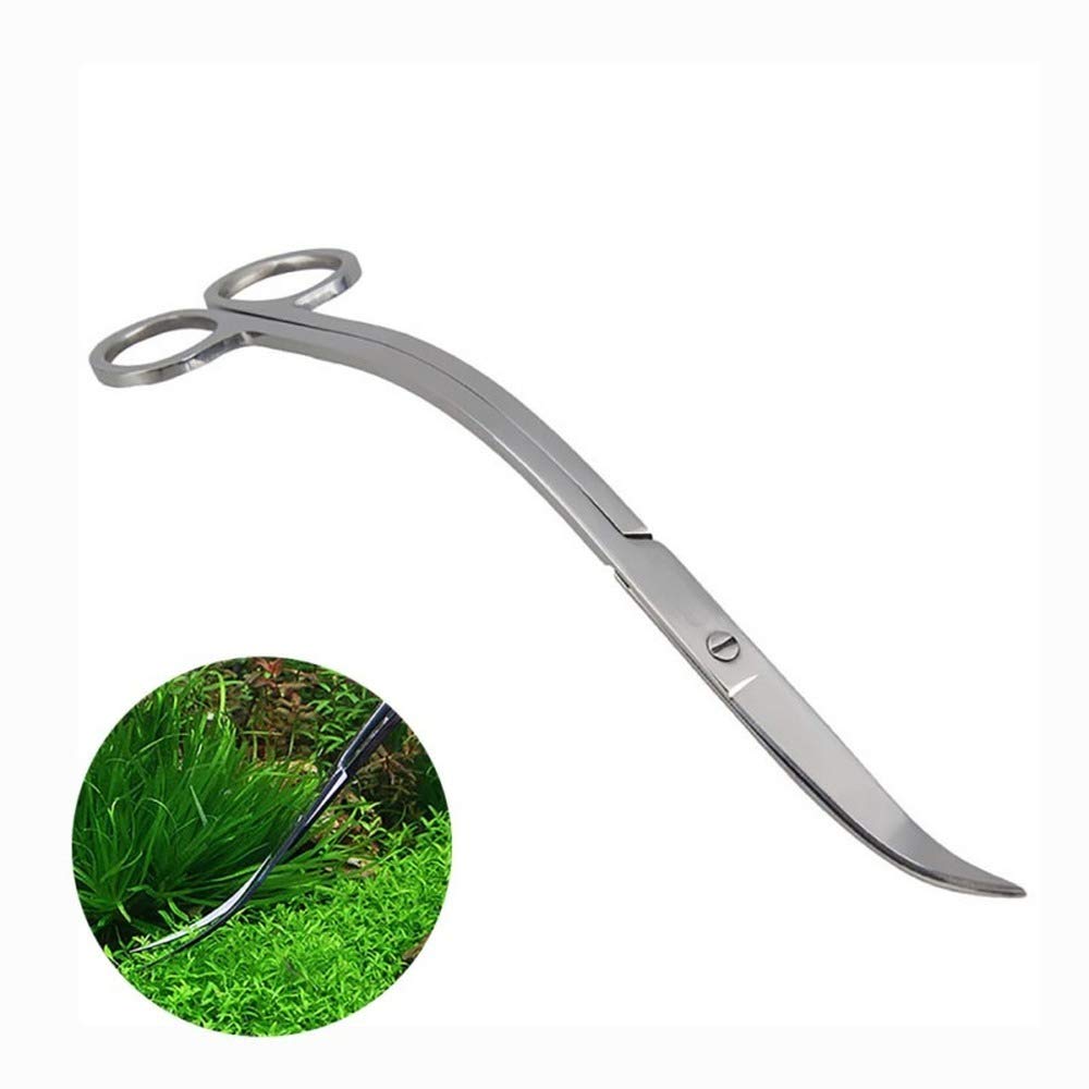Forbici per Acquario,Forbice Curve per Acquari in Acciaio Inox Forbici per Lama Curva per Acquario Piante