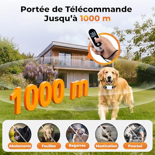 Collier de Dressage Pour Chien, sans Choc, Collier Electrique Pour Chien Portée 1000 m (3300 ft), 4 Modes Bip, Vibration, Lumière,Bip+Vibration,1-50 Niveaux d'Entraînement, Étanche IPX7
