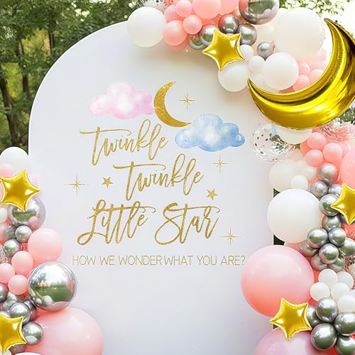 Twinkle Twinkle Little Star Gender Reveal Decorations - Cloud Gender Reveal Decorations Star Decal Sign for Balloons Arch Backdrop Boy or Girl Baby Shower Decoration for Girl (Not Balloons)