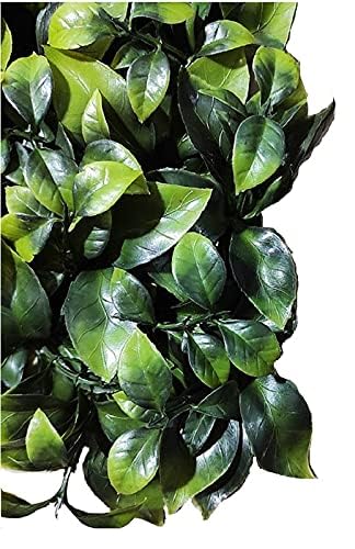 Image of Wall Grass (6 Pcs), Artificial Grass for Wall Decoration, Vertical Garden Artificial Mat, Artificial Grass Tiles for Balcony (Green Big Leaves, 60cm x 40cm x 8cm, Plastic, Pack of 6)