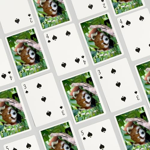 Lantern Press Red Panda, 52 cartas poker para adultos miniatura 4