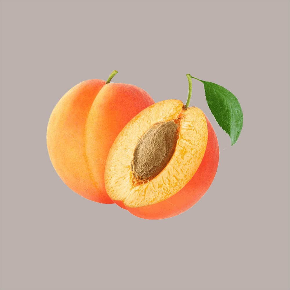 Leagel Pasta Concentrata Albicocca per Gelato, 3,5 Kg | Basso Dosaggio