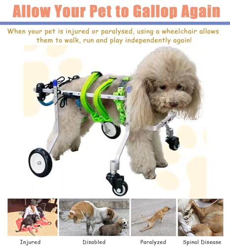 Silla de ruedas para perros ajustable, andador de 4 ruedas con soporte completo estable 6