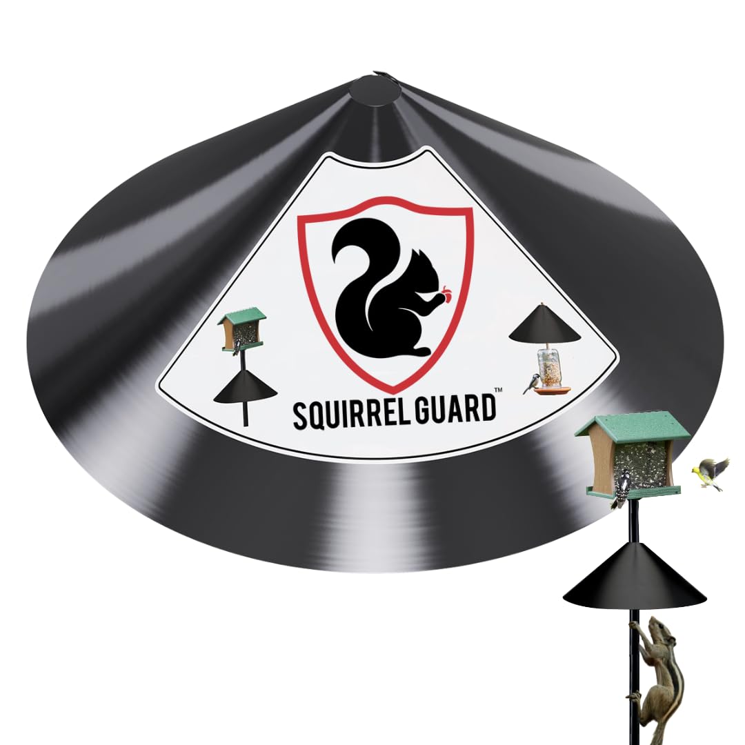 Buy Predator Guard Squirrel Baffle Protects Hanging Bird Feeders and