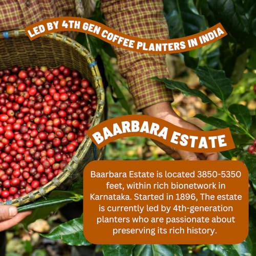 Image of Toffee Coffee Roasters | Baarbara Estate, Light to Medium Roast, 250 g | Grind: French Press, Speciality Blend, 100% Arabica | Speciality Coffee | Freshly Roasted