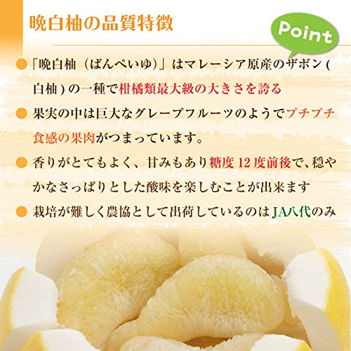 Amazon.co.jp: Banpeiyu, 5 Balls, Approx. 17.6 - 19.8 lbs (8 - 9 kg