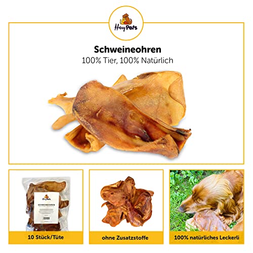 Hey Pets Schweineohren für Hunde & Welpen, Beste Hunde Leckerlis, Ideale Zahnreinigung, 100% natürlich, getreidefrei, Kauartikel, Kausnack (Beutel mit 10 Stück)