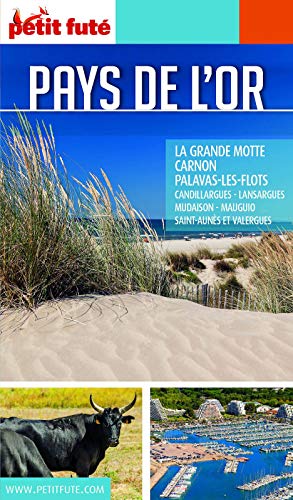 Télécharger PAYS DE L'OR 2018/2019 Petit Futé (GUIDES DEPARTEM) PDF Ebook En Ligne