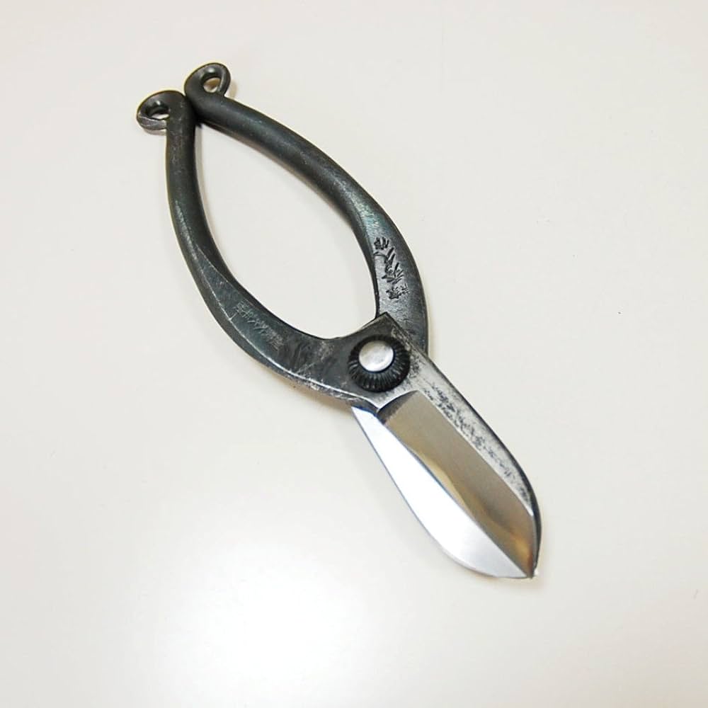 池坊　横山夢草　「はさみのたわごと」　サイン本 Amazon | 翠柳 池坊鋏 165mm | 園芸用はさみ