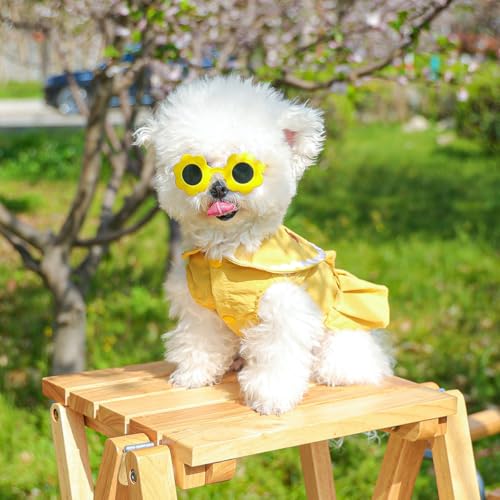 Vestido princesa para perros pequeños talla XL amarillo miniatura 5