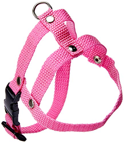 Tudo Pet Guia Peitoral Nylon Liso N. 1 para Cães, (cores sortidas)