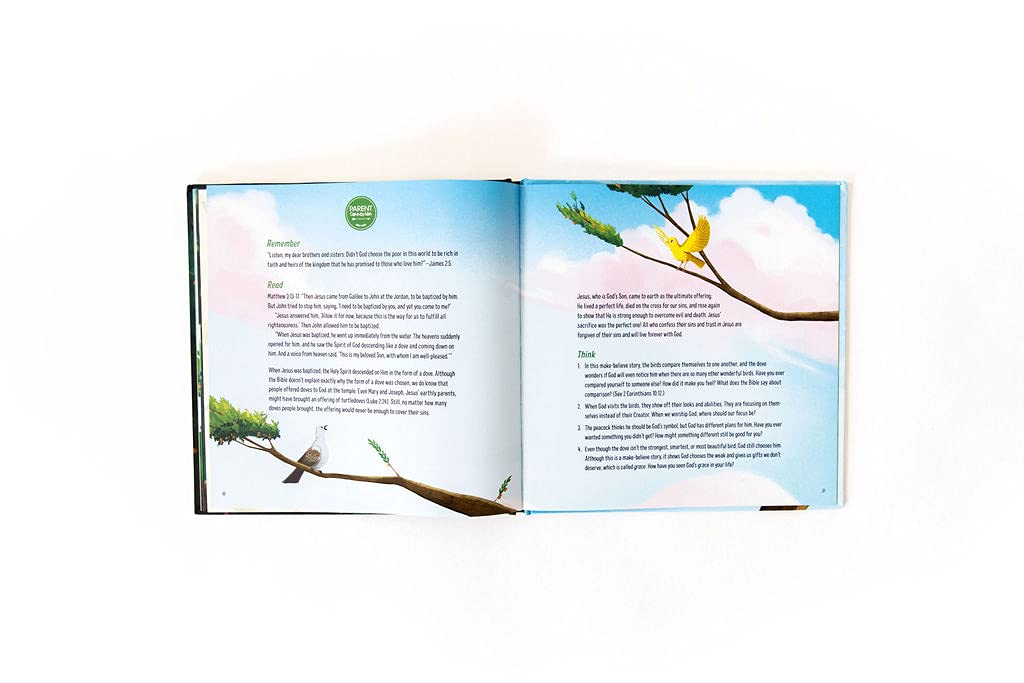 Birds of the Air: Seeing the Hidden Value that God Sees - Image 5