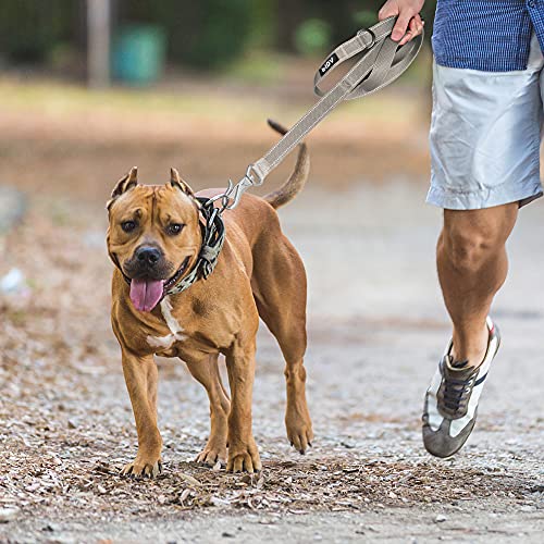 Fida 6 Ft Heavy Duty Dog Leash With 2 Comfortable Padded Handles, Traffic Handle & Advanced Easy Snap Hook, Reflective Walking Lead For Large, Medium & Small Breed Dogs, Grey #TOP7