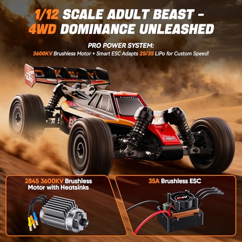 DIKAVEY 1/12 Brushless RC Car