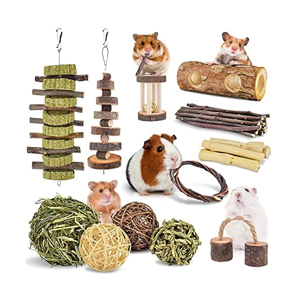 Erkoon new 12 pack hamster chew toys gerbil rat guinea pig chinchilla chew toys accessories, natural wooden dumbbells exercise bell roller teeth care molar toy for rabbits bird rabbits hamster gerbil