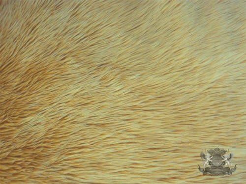 Faux/Fake Fur Shaggy Camel Fabric by The Yard