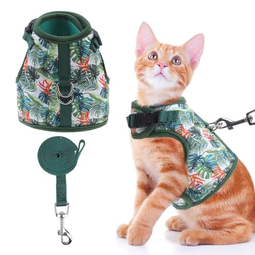BINGPET Cat Harness and Leash Set Escape Proof for Walking,Step-in