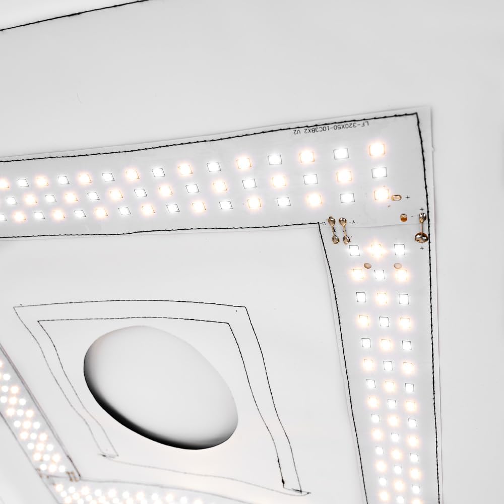 Vind studio licht in Fotografie | Fotostudio en Toebehoren op
