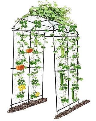 FAHKNS 7FT Garden Arch Trellis for Climbing Plants Outdoor, Polyethylene-Coated Cucumber Trellis, Extra Tall with Flange Stainless Steel Garden Trellis Arch for Vegetables/Grape