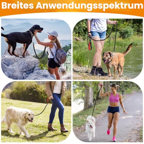 HAPPY HACHI Schleppleine für Hunde, 3m /5m /10m /15m /20m /25m /30m /33m Nylon Hundeleine mit Handschlaufe, Trainingsleine mit D-Karabiner,Lange Hundeleine,für Gehorsamkeitstraining (Schwarz, 10m)
