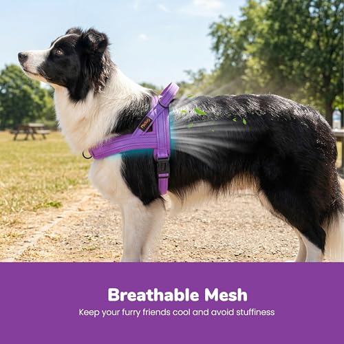 Image of Didog No Pull Dog Harness for Medium Dogs, Breathable Mesh Padded, Purple,M | Quick Fit, Easy On and Off, Lightweight, Reflective Vest Harness for Night Safty, Easy for Walking and Training, Chest 21-26 inch