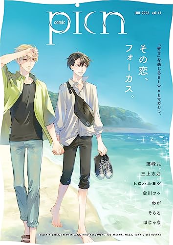 comic picn vol.41 (picn comics)