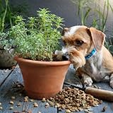 Relax Drops Hund – Natürliche Beruhigungs-Leckerlis mit Bachblüten & Kamille | Unterstützen Ruhe & Gelassenheit bei Stress, Nervosität & neuen Situationen | Hohe Akzeptanz | Made in Germany | 92 g
