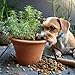Relax Drops Hund – Natürliche Beruhigungs-Leckerlis mit Bachblüten & Kamille | Unterstützen Ruhe & Gelassenheit bei Stress, Nervosität & neuen Situationen | Hohe Akzeptanz | Made in Germany | 92 g