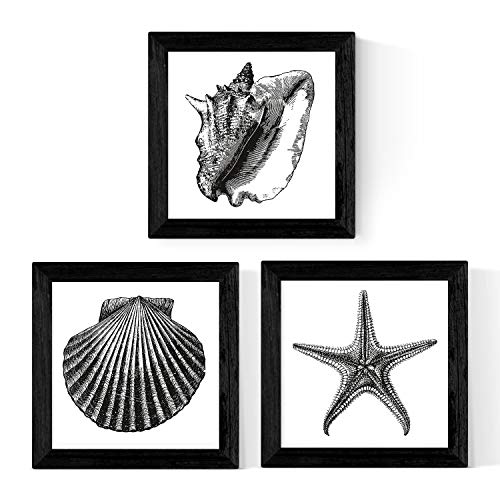 Nacnic Pack de 3 láminas de Animales Marinos EN Blanco Y Negro. Tamaño 20x20. con Marco