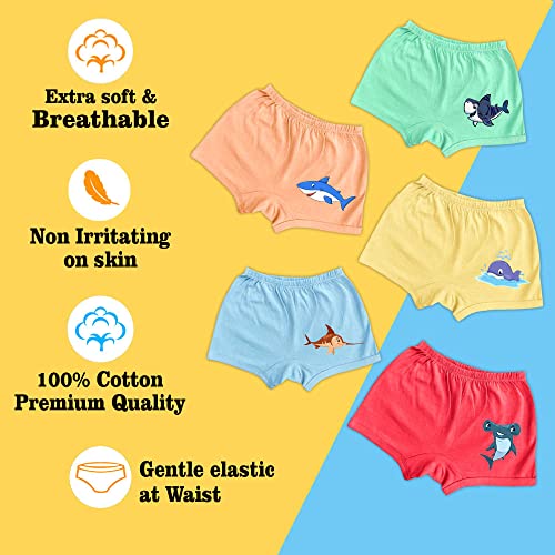 Image of Underwear for Kids Inner Wear Girl Boys Panties Bloomers Innerwear Girls Baby Unisex - Theme Combo Pack