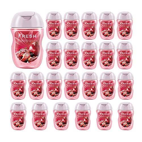 Mini Hand Sanitizer Gel, Vital Luxury Anti-Bacterial Hand Gel 1 FL OZ, Portable Hand Sanitizer with Travel Size Flip Cap Bottle , Clear Moisturizing and Refreshing, Fast Dry (Fresh Pomegranate 1 FL OZ, 24 PCS)