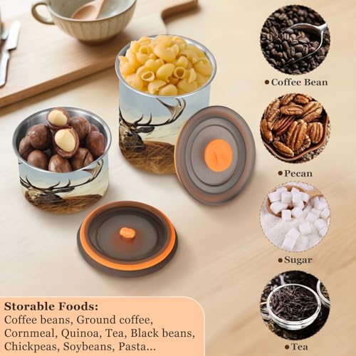 Contenedor hermético de acero inoxidable para café 500ml miniatura 5