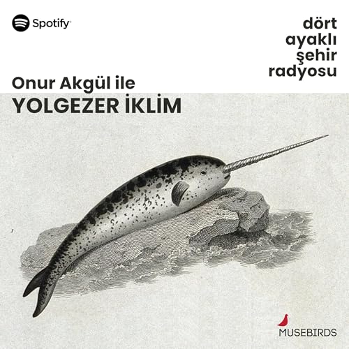 Yolgezer İklim-Onur Akg&uuml;l | Cihan Erd&ouml;nmez | Yaşar Kemal&rsquo;in Ormanı: Yangın Yerinde Duygudaşlık