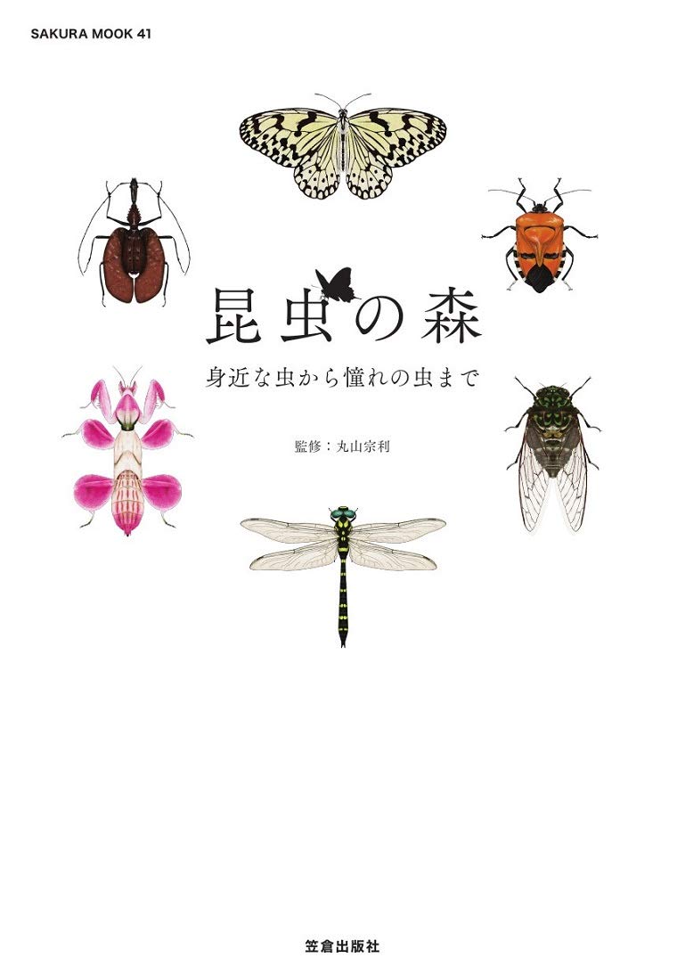 昆虫の森 (サクラムック) | 丸山 宗利 |本 | 通販 | Amazon