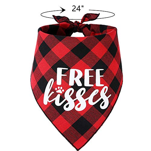 Disfraz para perro con diadema corazón rojo y bandana a cuadros miniatura 5