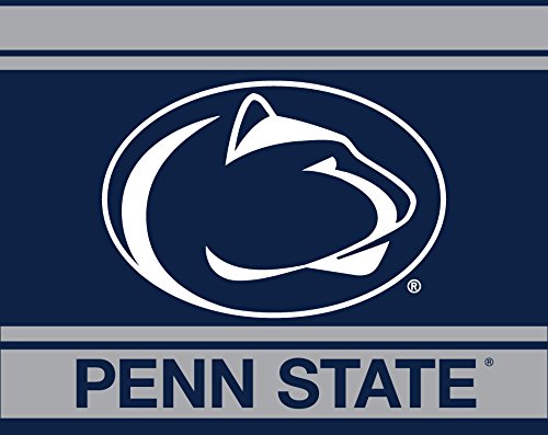 Penn State Nittany Lions 5x6 Inch Rectangle Magnet Stripe Officially Licensed Collegiate Product