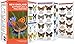New England Butterflies & Pollinators (Nature Observation North America)