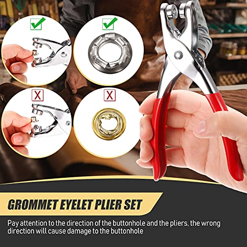 301 Pcs Grommet Eyelet Pliers Tool Kit, Fabric Leather Hole Eyelets And Grommets Punch Pliers With 300 Metal Eyelets Portable Grommet Tool Kit For Belt Shoes Cloths (Coppery, Gold, Silver,1/4 Inch) #TOP3