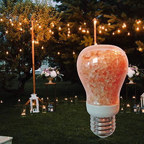 Himalayan Glow H1651B Natural Salt Bulb, Night Light, Amber Orange, 7 Watts #TOP2