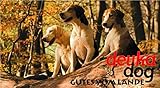 deuka 2 x 15 kg Dog Vitalkost, ausgewogene Vollnahrung für Erwachsene, normal aktive Hunde