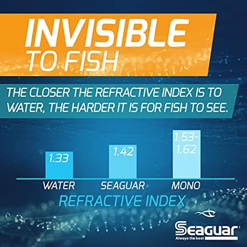 Amazon.com : Seaguar InvizX 100% Fluorocarbon 1000yd 17lb ...