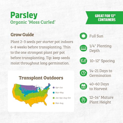 Back to The Roots 100% Organic Seed Packet - Parsley 'Moss Curled' 420mg - Image 3