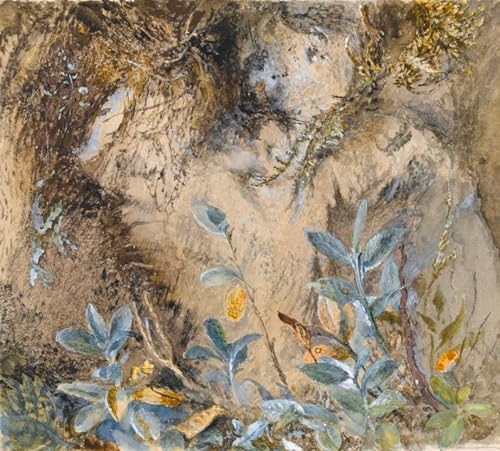 Croquis de plantes et de mousse sur des pierres tableau toile 60x90cm