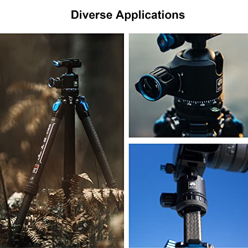 SIRUI ST-20 - Cabezal de bola panorámico estable para trípode, cámaras, cabezal profesional de baja gravedad, compatible con Arca-Swiss, con placa QR, cerraduras independientes, carga de 35 kg