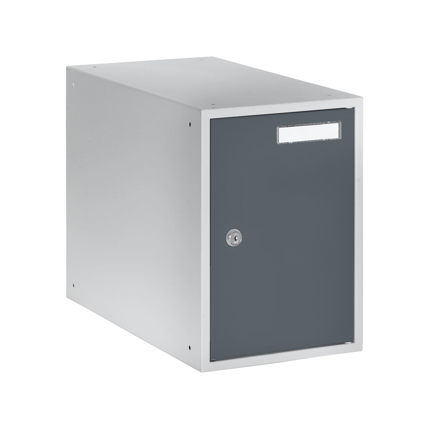 Casier verrouillable 350 x 250 x 450 mm porte en tôle pleine gris clair/gris basalte